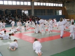 db_2003JudoSafariPB0923481