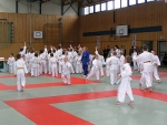 db_2003JudoSafariPB0923491