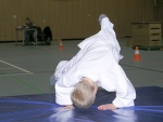 db_2003JudoSafariPB0924601