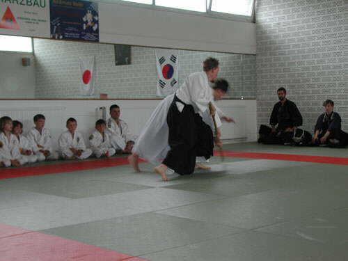 db_aikido_tdot_2002013