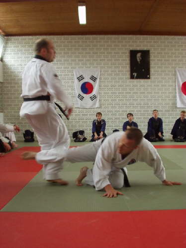 db_hapkido_tdot_2002273