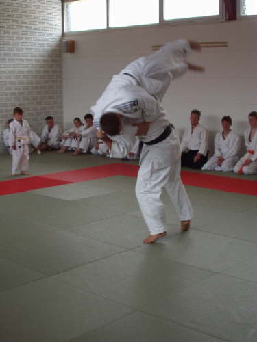 db_Judo_tdot_2002333