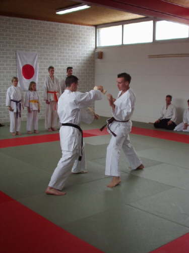 db_karate_tdot_2002083