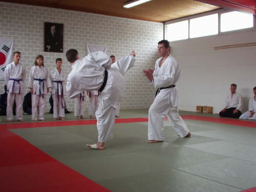 db_karate_tdot_2002103