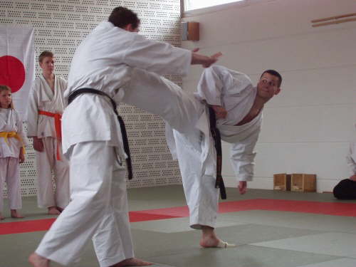 db_karate_tdot_2002163