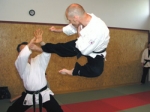 Hapkido