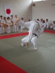 db_Judo_tdot_2002363
